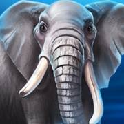 Majestic Megaways: Elefante