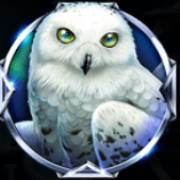 Majestic Winter: Búho