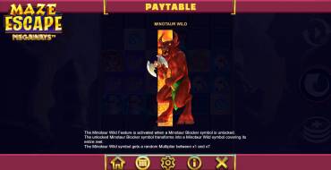 Maze Escape Megaways: Símbolos especiales
