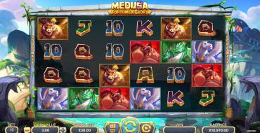 Medusa – Fortune and Glory: Interfaz