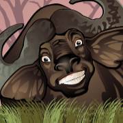 Mega Moolah: Toro