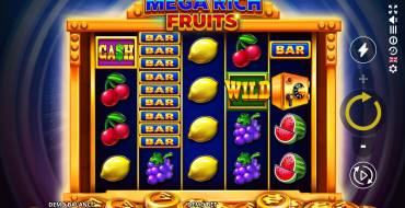 Mega Rich Fruits: Símbolos
