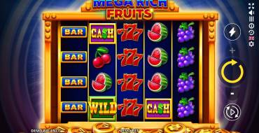 Mega Rich Fruits: Interfaz