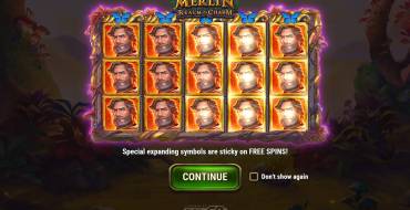 Merlin Realm of Charm: Características únicas