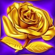 Midas Wilds: Rosa