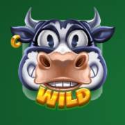 Milk the Cow Hold & Win: Salvaje