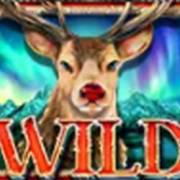 Million Christmas 2: Salvaje