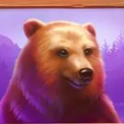 Money Moose: Oso