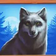 Money Moose: Lobo