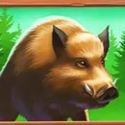 Money Moose: Jabalí