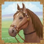 Mongol Treasures: Caballo