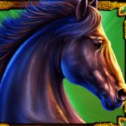 Mustang Gold: Caballo negro
