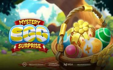 Mystery Egg Surprise