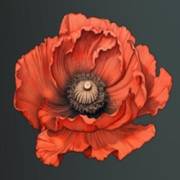 Mystery Garden: La flor es roja
