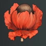 Mystery Garden: Brote rojo