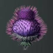 Mystery Garden: Bardana