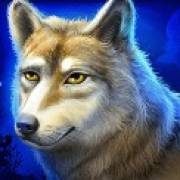 Mystic Chief: Lobo