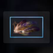 Mythic Wolf Sacred Moon: Plumas