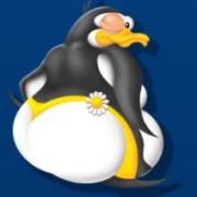 Northern Boom: Pingüino