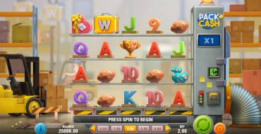 Pack and Cash: Tema