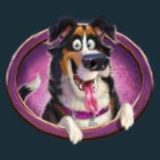 Piggy Bank Farm: Perro