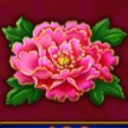 Plenty Dragons: Flor