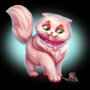 Posh Cats: Gato blanco