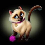 Posh Cats: Gato ruso