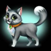 Posh Cats: Gato gris