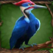 Primal Wilderness: Pájaro
