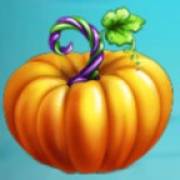 Pumpkin Patch: Calabaza