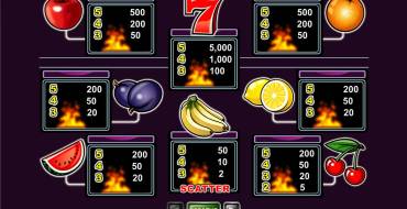 Purple Hot: Reglas