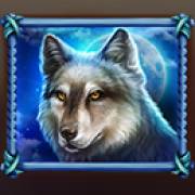 Raging Bison: Lobo