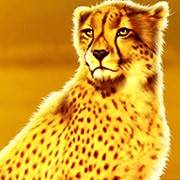 Rumble Rhino Megaways: Leopardo