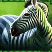Rumble Rhino: Cebra
