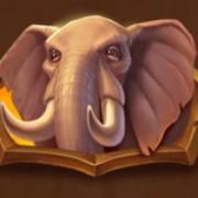 Safari of Wealth: Elefante