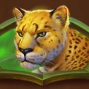 Safari of Wealth: Tigre