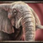 Savanna Roar: Elefante