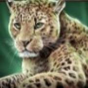 Savanna Roar: Guepardo