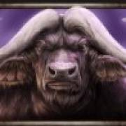 Savanna Roar: Búfalo