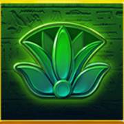 Scarab Boost: Flor