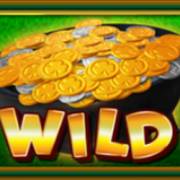 Slots O` Luck Free Spins: Salvaje