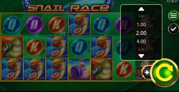 Snail Race: Apuestas