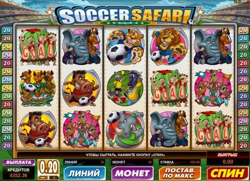 Soccer Safari