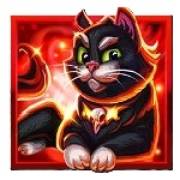 Stampede Rush Wicked: Gato