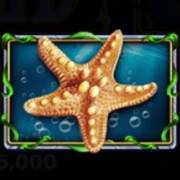 Story Of The Little Mermaid: Estrella de mar