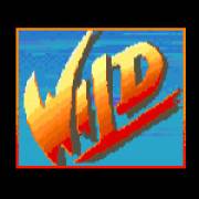 Street Fighter II: The World Warrior: Salvaje