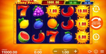 Super Sunny Fruits: Hold and Win: Máquina tragaperras