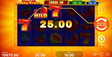 Super Sunny Fruits: Hold and Win: Ganancias