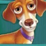 The Dog House Megaways: Teckel
